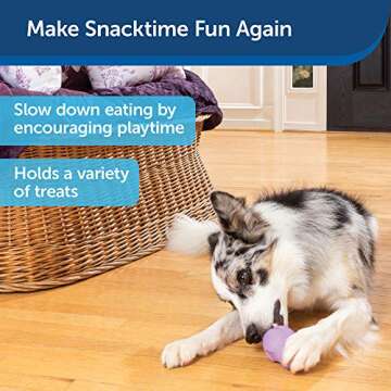 PetSafe Busy Buddy Calming Interactive Dog Toy and Treat Dispenser, PTY00-15761