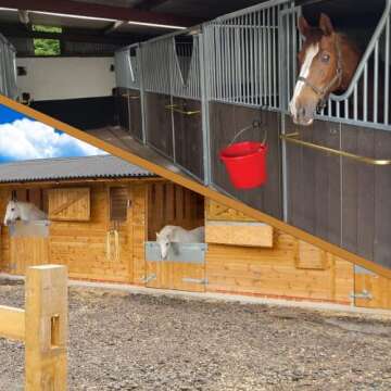 HDYEGY 6pcs 4 Inch Tack Hook, Heavy Duty Metal Over Rail Tack Hook for Hanging Horse Bridles,Buckets(Black)