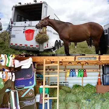 HDYEGY 6pcs 4 Inch Tack Hook, Heavy Duty Metal Over Rail Tack Hook for Hanging Horse Bridles,Buckets(Black)