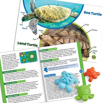 hand2mind Tactile Turtles Math Set - Fun Learning for Kids