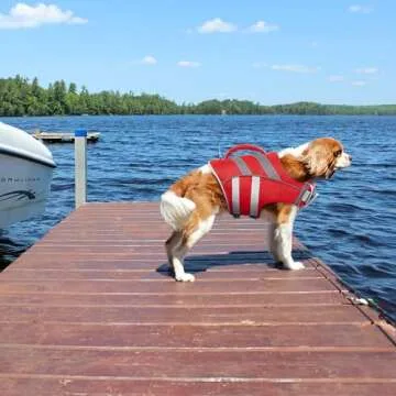 Kuoser Dog Life Jacket - Adjustable, Reflective, Safe Vest