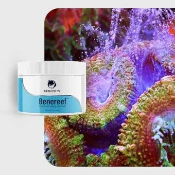 Benereef 40g Jar - Premium Coral Food for Aquariums