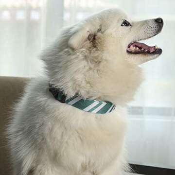 Coomour 2PCS Halloween Dog Collar Pet Wizard School Printing Adjustable Collars with Cute Cat Leash ...