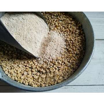 Fresh Eggs Daily Brewer's Yeast with Garlic Powder and Niacin for Ducks Ducklings Feed Supplement Vitamins for Backyard Chickens 1LB