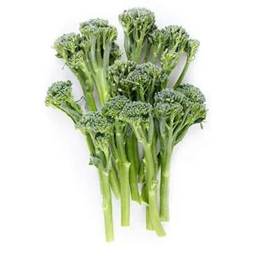 Spring Raab Rapini Broccoli Seeds - Quick Harvest Variety