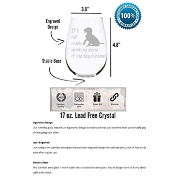 Funny Dog Lover Stemless Wine Glass - 17 Oz