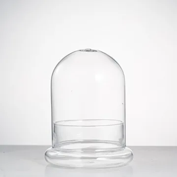 Stylish NCYP Glass Terrarium Cloche for Plant Lovers