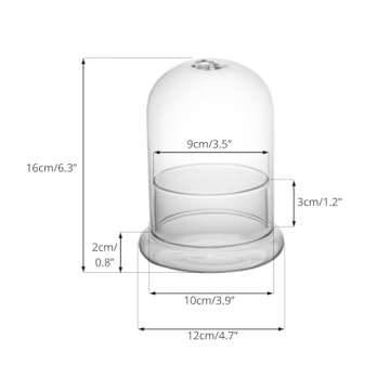 Stylish NCYP Glass Terrarium Cloche for Plant Lovers
