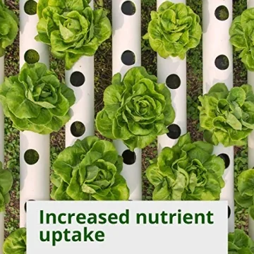 Humboldts Secret Plant Enzymes for Thriving Plants