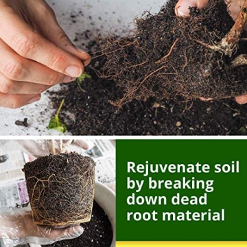 Humboldts Secret Plant Enzymes for Thriving Plants