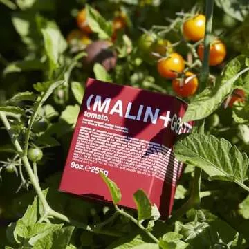 Malin + Goetz Tomato Candle – Home Grown Tomato Aroma Fragrance Scented Candle, Natural Wax Blend, Fresh & Verdant Scent, Vegan & Cruelty Free, Single Wick Candle, Lasts 60 Hours