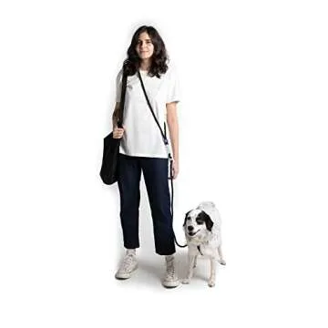 NOX Reflective Hands-Free Dog Leash for Safety & Flexibility