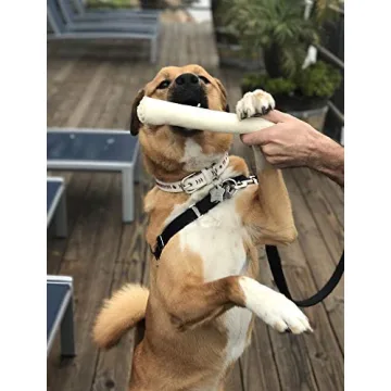 Cowdog Chews All Natural Rawhide Treats for Dogs