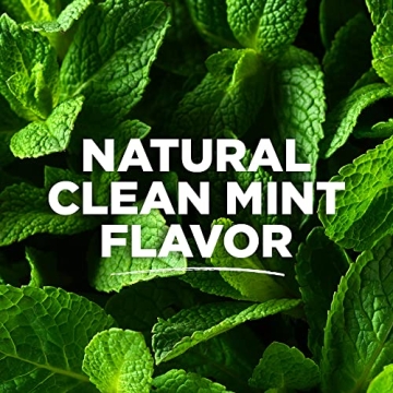 Tom's of Maine Natural Luminous White Toothpaste - Clean Mint