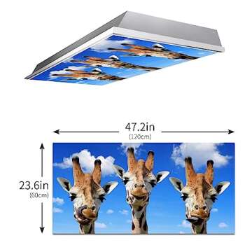 Funny Giraffe Magnetic Light Covers for Classroom & Home