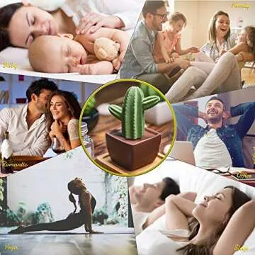 Maxi Cactus Ceramic Diffuser for Home & Office Decor