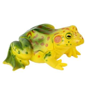 Insect Lore Frog Life Cycle Stages