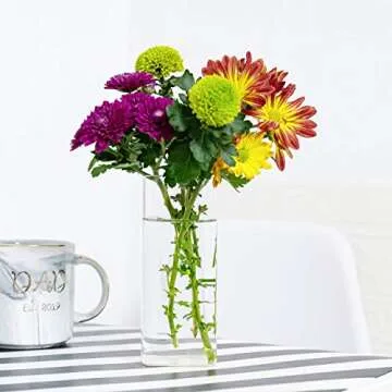 Kingbuy Plant Terrarium Container Propagation Station Square Tube Vase Wall Hanging Glass Planter Indoor Hydroponic Plants Home Office Garden Decor, 2 Pack