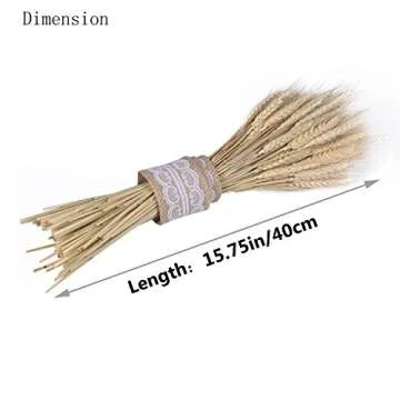 Golden Dried Natural Wheat Sheave Bundle Premium Fall Arrangements with Natural Laces Burlap Craft Lace Ribbon Roll for DIY Design, Corrugated Package