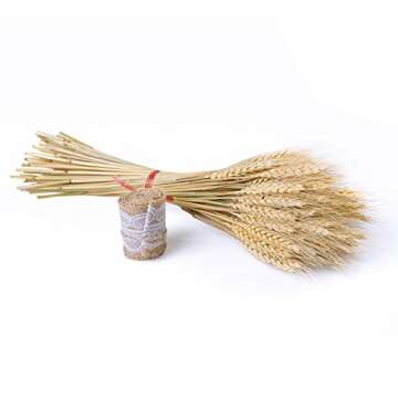 Golden Dried Natural Wheat Sheave Bundle Premium Fall Arrangements with Natural Laces Burlap Craft Lace Ribbon Roll for DIY Design, Corrugated Package