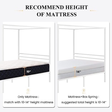 Stylish SHA CERLIN Metal Canopy Bed Frame for Your Home