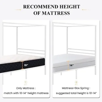 Stylish SHA CERLIN Metal Canopy Bed Frame for Your Home