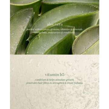 Ere Perez - Natural Aloe Gel Lash + Brow Mascara | Vegan, Cruelty-Free, Clean Beauty (Clear, 0.35 oz | 10 ml)