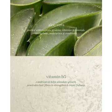 Ere Perez - Natural Aloe Gel Lash + Brow Mascara | Vegan, Cruelty-Free, Clean Beauty (Clear, 0.35 oz | 10 ml)