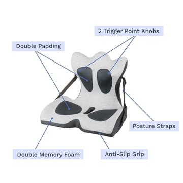 Lifted Lumbar Comfort Cushion for Back Pain Relief