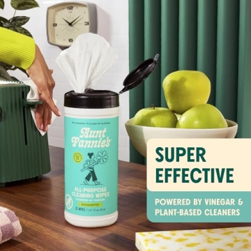 Aunt Fannie's Natural Vinegar Wipes - Eco-Friendly Multipurpose Cleaner