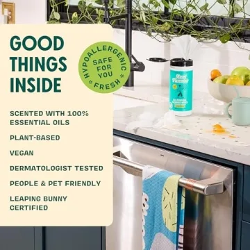 Aunt Fannie's Natural Vinegar Wipes - Eco-Friendly Multipurpose Cleaner