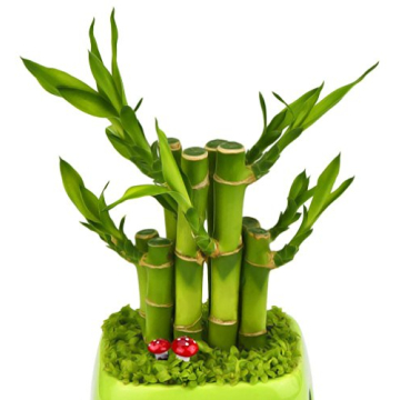 yueton 100 Mini Foam Mushrooms for Garden Decor and Crafts