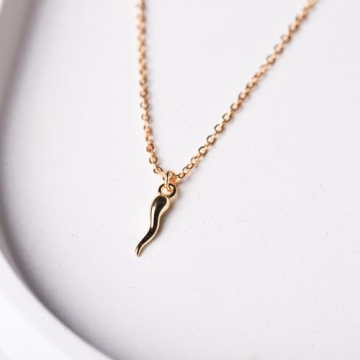 Minimalist Dainty Gold Italian Horn Necklace | Lucky Jewelry