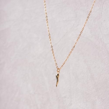 Minimalist Dainty Gold Italian Horn Necklace | Lucky Jewelry