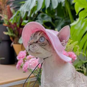 Pet hat with Ear Holes Sunscreen Baseball Cap Suitable for Small and Medium-Sized Dogs Outdoor Climbing hat in Summer Pet Products (Medium, Pink)