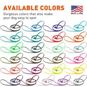 Dogline Biothane Slip Dog Leash - for Small, Medium and Large Dogs - Odor Free Slip Lead, Heavy Duty and Durable Material Kennel Lead - Blue Aqua - 5ft L x 3/8in W