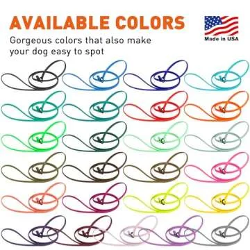 Dogline Biothane Slip Dog Leash - Durable and Odor-Free