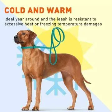 Dogline Biothane Slip Dog Leash - Durable and Odor-Free