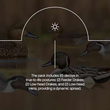 Avian X Pintail Decoys - Realistic & Durable Hunting Gear