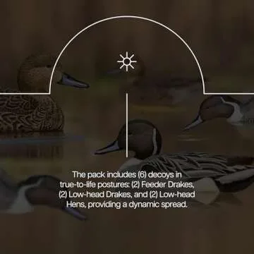 Avian X Pintail Decoys - Realistic & Durable Hunting Gear