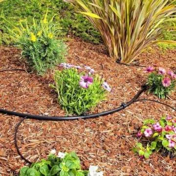 Drip Irrigation Line 1/4" Tubing Roll, 6" Emitter Spacing.52 GPH, Color Black (.170 ID x 240 OD) - Will Work from Gravity Feed