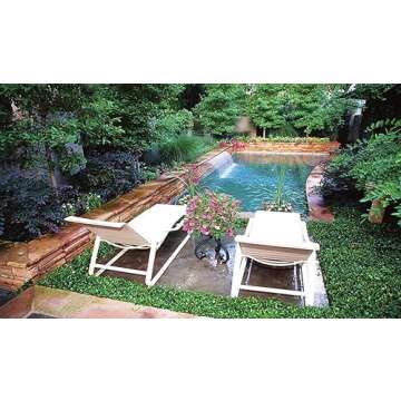 Backyard Ideas