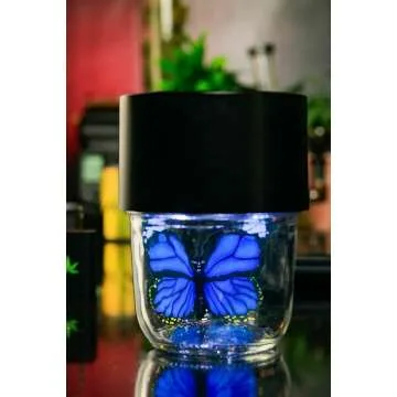 MasonBrite Herb Jar - LED Illuminated & Airtight