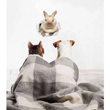 Winston & Bear Rascally Rabbit Wall Decals for Home Decor