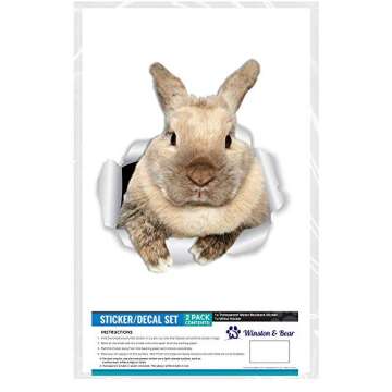 Winston & Bear Rascally Rabbit Wall Decals for Home Decor