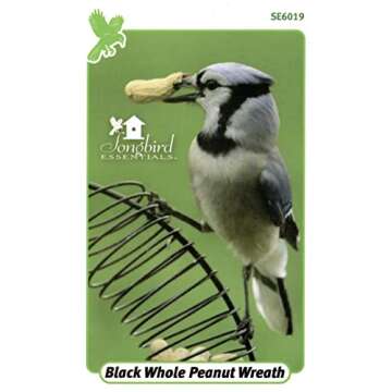Songbird Essentials Whole Peanut Black Wreath Feeder for Squirrels and Blue Jays