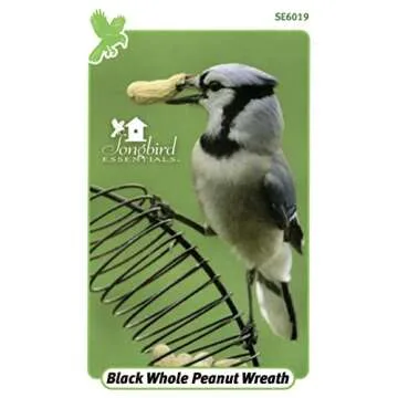 Songbird Essentials Whole Peanut Black Wreath Feeder for Squirrels and Blue Jays