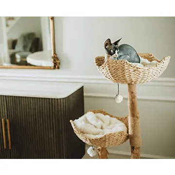 MAU Luxury Cat Tree for Large Cats, Elegant & Sturdy