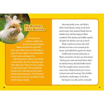National Geographic Kids Chapters: Rascally Rabbits!: And More True Stories of Animals Behaving Badl...