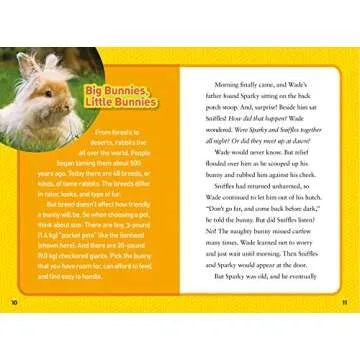 National Geographic Kids Chapters: Rascally Rabbits!: And More True Stories of Animals Behaving Badl...